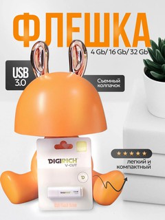 Карта памяти Digirich USB flash 3.0, 2.0 С задней стороны флешки Digirich есть ушко, к которому можно подвязать шнурок