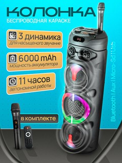 Портативная колонка Sing-e ZQS-8309, с микрофоном, пультом ДУ, 60Вт