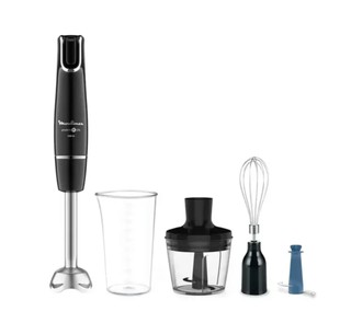 Погружной блендер Moulinex DD94