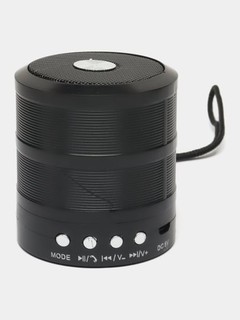 Беспроводная Bluetooth колонка WS-887 – с FM радио, USB, TF картой и AUX