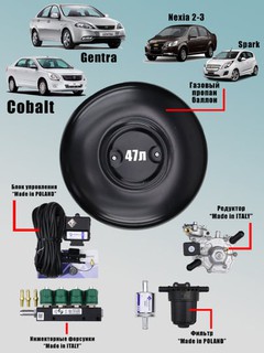 Пропан (EuropaGas) газовое оборудование, 4-поколение для COBALT GENTRA NEXIA3, балон 47 л