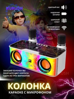 Портативная колонка для караоке, Bluetooth, 2 микрофона, поддержка беспроводного телефона