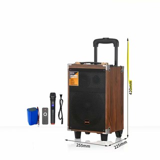 Портативная колонка B-Q12 караоке Bluetooth с микрофоном и пультом, беспроводная