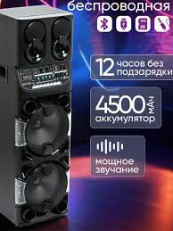 Портативная колонка Avcrowns CH-1021 , черный