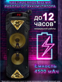 Портативная колонка Sing-E ZQS6203 , черный