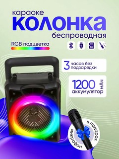 Портативная колонка Karaoke ZQS 6166 с Bluetooth и микрофоном