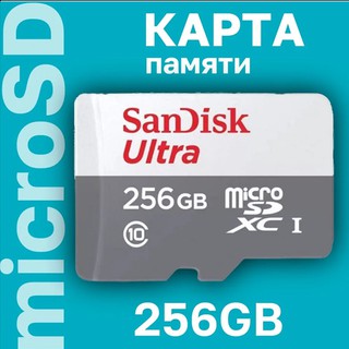 Карта памяти Sandisk SDHC Micro Ultra 256GB, черный