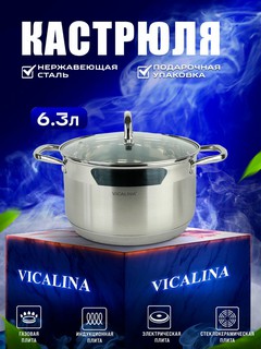 Кастрюля из нержавеющей стали Vicalina для всех видов плит,6.3 л