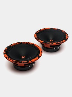 Эстрадные колонки DL Audio Barracuda 165 XC