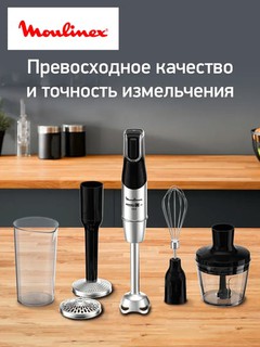 Погружной блендер Moulinex DD95