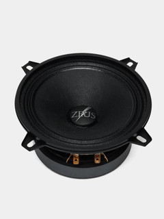 Эстрадные колонки Zeus 130 200watt 13см XC