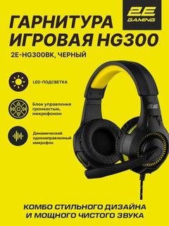 Kompyuter garniturasi 2E Gaming HG300