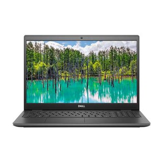 Noutbook Dell Latitude 3510 (i5 10210U / 8GB DDR4 / 256GB SDD / 15.6" Full HD / Intel UHD Graphics) (N011L351015UZ_UBU)