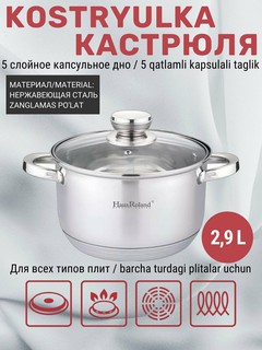 Кастрюля с крышкой из нержавеющей стали Haus Roland, для всех типов плит, 2.9 л