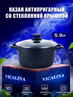 Казан антипригарный, с крышкой VICALINA, 26 см, 5,9 л, для всех типов плит