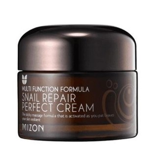 Yuz kremi Mizon Snail Repair Perfect Cream, 50 ml