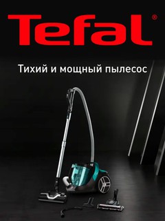 Changyutgich Tefal TW7272