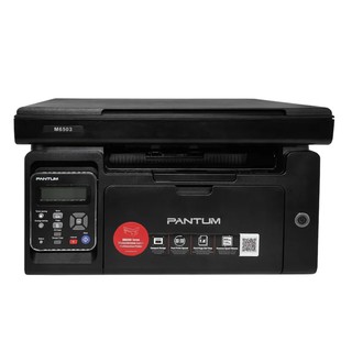 Принтер Pantum M6503 (лазерный, A4)