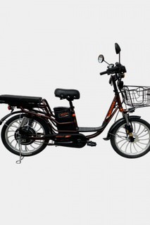 Электрический Вело 20 таблоли САКА 48v12A