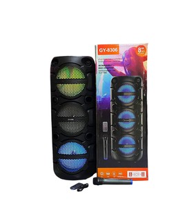 Портативная колонка Subwoofer GY8306 , черный