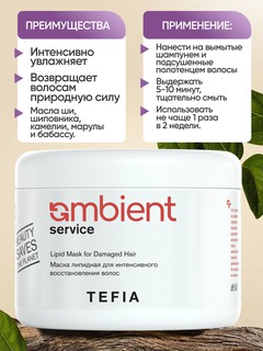 Маска липидная TEFIA AMBIENT, 500мл, для интенсивного восстановления волос, с УФ- фильтром