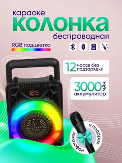 Портативная колонка Karaoke ZQS 6166 с Bluetooth и микрофоном