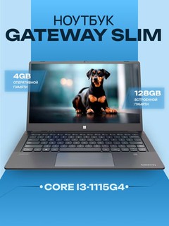 Noutbuk Acer Gateway Intel Core i3-1115G4 4Gb 128Gb 15,6" FHD Kulrang
