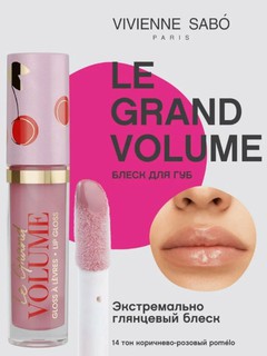 Блеск для губ Vivienne Sabo "Le Grand Volume", увлажняющий, глянцевый, цвет 14, 3 мл
