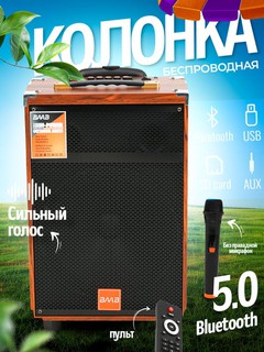 Портативная беспроводная колонка "BAAB", с микрофоном и пультом управления