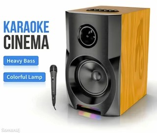 Портативная колонка "Sing-e" JQS401, с микрофоном, с аккумулятором, беспроводная