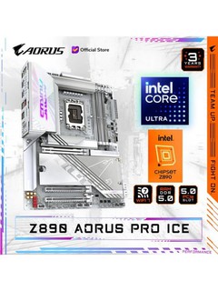 Gigabyte Z890 AORUS PRO ICE DDR5 ona platasi, LGA1851, ATX
