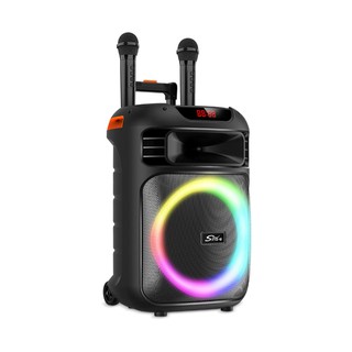 Sing-e ZQS15113 qora portativ kolonkasi + mikrofon