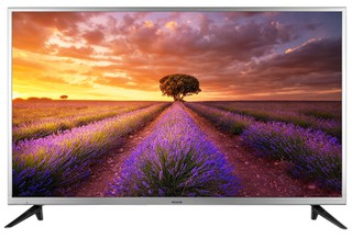 Телевизор ROISON LED TV RE 32060 S Smart 32", серый