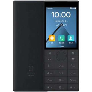 Кнопочный телефон Xiaomi Duoqin f22 2/16 ГБ, черный