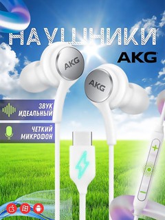 Наушники проводные с микрофоном, разъем Type С