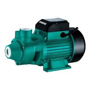 Markazdan qochma nasos Skyriver QB80