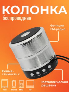Беспроводная Bluetooth колонка WS-887 – с FM радио, USB, TF картой и AUX