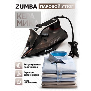 Утюг Zumba ZM-265 High Steam, Чёрный