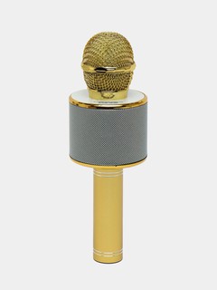 Оригинальный караоке-микрофон WSTER WS-858 с колонкой, Bluetooth, портативный, 5Вт, 1800mAh, золото
