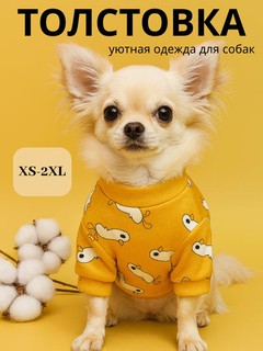 Толстовка, одежда, теплая, для маленьких собак, для животных