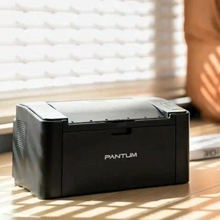 Лазерный принтер Pantum P2516 A4, 22 стр/мин, 600dpi, USB 2.0, 32Мб, черный, компактный