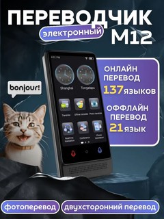 Интеллектуальный голосовой переводчик M12, живой голос носителя языка, перевод офлайн 1+16GB