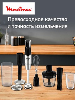 Погружной блендер Moulinex DD95