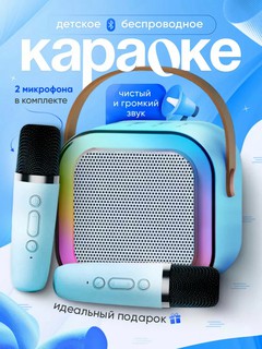 Музыкальная портативная караоке-колонка, мини караоке, Bluetooth, 2 беспроводных микрофона