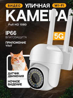 Уличная Wi-Fi видеокамера: Сamera_white_5g