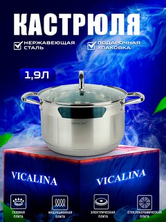 Кастрюля из нержавеющей стали Vicalina для всех видов плит,1.9л