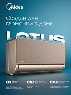 Кондиционер Lotus Gold 9