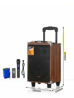 Karaoke Bluetooth karnay BQ-8, mikrofon, kuchli tovush va uzoq vaqt ishlaydi