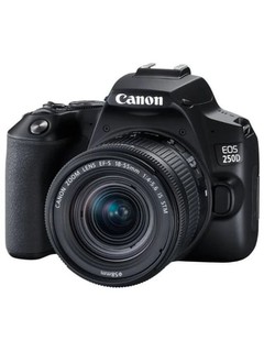 Canon EOS 250D Kit 18-55mm IS STM зеркальный фотоаппарат