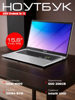 Ноутбук ASUS Vivobook Go 15, N100, 8ГБ, SSD 256ГБ, UHD Graphics, 15.6" FHD IPS